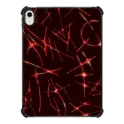iPad 10.9-inch (10th gen) iPad Impact Case Chrome Thorns