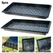 Bulk Plant Germination Trays Set of 6 Quick and Efficient Plant Starting