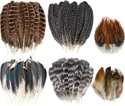 60pcs Natural Turkey Feathers Pheasant Feathers, Spotted Feathers, Duck Feathers