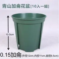 在飛比找momo購物網優惠-【品屋】0.15加侖青山加侖花盆 10入一組(青山盆 青山控