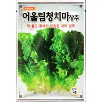 在飛比找蝦皮購物優惠-韓國烤肉最佳搭配 韓國綠裙生菜 韓國生菜原裝種子 100元1