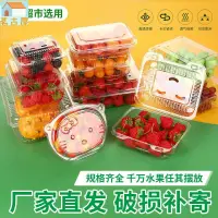 在飛比找樂天市場購物網優惠-一次性果盒帶蓋透明包裝盒果切保鮮盒500克一斤桂圓草莓果蔬盒