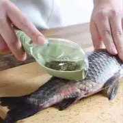 Creative Kitchen Accessories Fish Scale Remover Knife Cleaning Peeler Practical