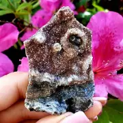 Fossilized Agate shell Cluster druzy natural crystal healing gemstone - #12A
