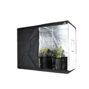 Jungle Room Original Tent - 2.2M x 1.2M x 2M