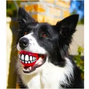 1 GRINZ BALL MEDIUM Funny Smile Dog & Puppy Rubber Treat Fetch Ball Toy -FLOATS