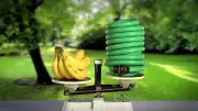Lizard Hose -The Amazing Expandable Hose As Seen On TV - Comes in 2 Sizes - NEW!