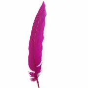 6" to 10" Silver Pheasant Tail Feather - Cerise