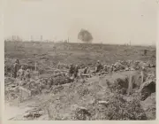 REPRINT OF ORIGINAL WWI PHOTO OF THE BATTLE OF FLANDERS
