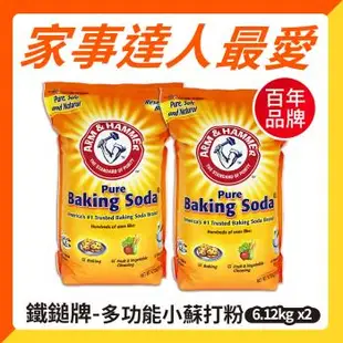 ARM&HAMMER 鐵鎚 多功能小蘇打粉(6.12Kg)-2袋組