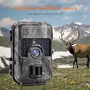 Surveillance Recorder Hunting Trail Camera 1080P 16Mp Wildlife Scouting Cam Ir Night Vision Ip66 20M Waterproof Animal Camcorder Camera United States