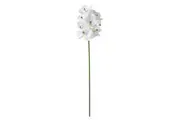 Rogue Vanda Orchid Artificial Flower Stem Real Touch Home Decor White 66cm