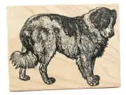 NEW 100 Proof Press Rubber Stamp ST BERNARD Animal Dog Wood mounted Rubber Stamp