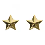 Trik Topz Valve Caps Stars Gold SV Intended For Use With Schrader Valves