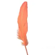 Goose Pointer Feathers 10 grams - Apricot