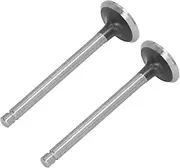 Alloy Steel Intake Exhaust Valve Set, Burr, Mini Tiller, Generator Valve Kit, for, Livestock, Farming and Forestry