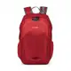 Pacsafe VENTURESAFE G3 探險防盜雙肩背包(15L) (枸杞紅)[PF60540324]