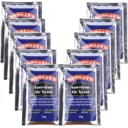 10 x Morgan's American Ale Yeast 15g DIY Home Brew