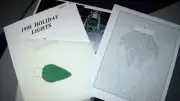 1998 HOLIDAY LIGHT BLUB Hand Painted Needlepoint Canvas w/ Instructions ~ GREEN