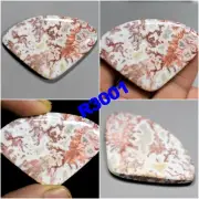 Designer Pink with White Rosetta Jasper Smooth Polished Cabochon R3001-R3010 AU