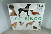 Dog Bingo Illustrated by Polly Horner: New