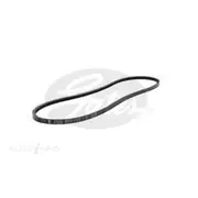 Gates Green Stripe Truck and Bus Series V-Belt - TR22664