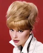 Elke Sommer Striking Vibrant Color 1960's Glamour Portrait 16x20 Poster