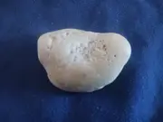 worry stone seashell