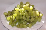 Grape Sultana H5 Vine Fruit Plant in Australia (Vitis vinifera)