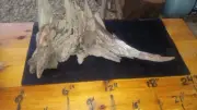 Awesome Underwater Volcano