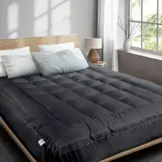 Bedra Mattress Topper DOUBLE Pillowtop 1000GSM Bamboo Charcoal Mattress Protector