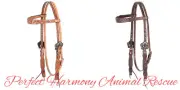Cashel Guns & Roses Browband Headstall Chocolate or Natural Available NEW