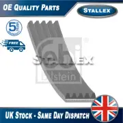 Fits Ford Focus C-Max Volvo C30 1.4 1.6 1.8 Aircon Compressor Belt Stallex