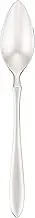 Sato Metal Kogyo SALUS First Grapefruit Spoon, Made in Japan