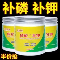 在飛比找蝦皮購物優惠-園藝肥料 磷酸二氫鉀 磷酸二氫鉀肥料 促開花肥 通用型 磷肥