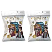 2x 36pc Harry Potter Fish Play Card Memory Educational Game Kids/Child Toys 3y+