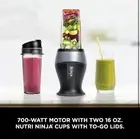 Ninja Fit Compact Personal Blender, Portable Blender for-Smoothies, 2- 16oz.Cups