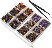 HORIALENCE 1 Set Flat Back Rhinestones for Craft Projects Compartment Box with Rhinestone Picking Pen and Tweezers for Shirt DIY Art and Personal Accessories