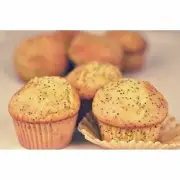 Foxtail Foods Simply Scoop Lemon Poppy Seed Muffin Batter (18 lbs, 1 Pack)