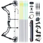 35-70lbs Archery Compound Bow Set Right Hand Arrow Adult Field Hunting Shoting