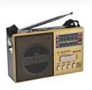 FM/AM/SW 3Band World Radio SD/USB MP3 Player Rechargeable Led Torch (Gold)