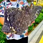 9.61LB Natural agate, zebra stone, crystal mineral, cut and polished in flakes