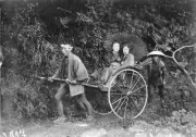 Tradition drive with rickshaw through the old park in Nara 1910 OLD PHOTO