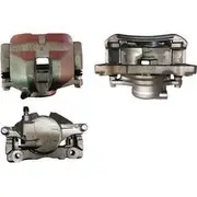 Protex Caliper Assembly - 090D0150