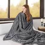 Beautyrest Heated Microlight to Berber Blanket, Twin