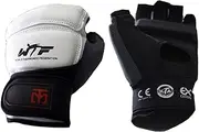 Mooto Taekwondo Hand Protector Season2 WTF KTA Approved TKD Hand Gear