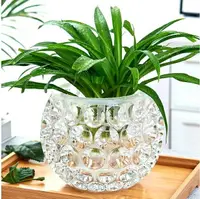 在飛比找樂天市場購物網優惠-新款/水培器皿創意玻璃花盆水養植物瓶透明花器綠蘿銅錢草花瓶圓