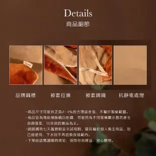 【飛航模飾】法蘭絨兩用毯被床包組-台灣製-贈老虎抱枕一入(單人 雙人 加大 均一價 多款任選)