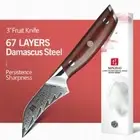 Full Tang Paring Knife 67 Layers Damascus Steel VG10 Core Wood Handle Slicing 3"