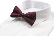 Mens Black & Red Diagonal Stripes With Black & White Polka Dots Patterned Bow Tie
